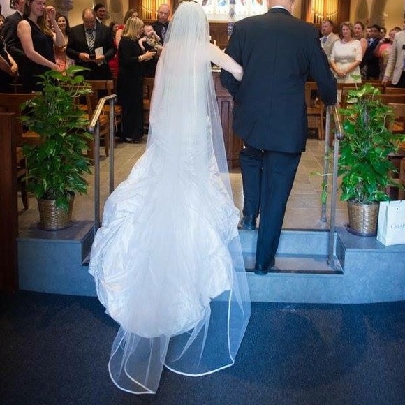 Ines Di Santo Susanna Wedding Dress - Picture 2 of 4