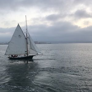 Meet your Posher, Michaela