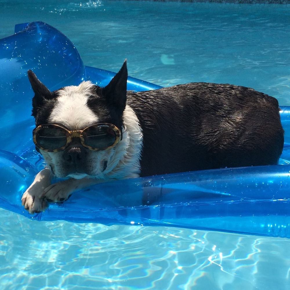 Meet your Posher, Michelle