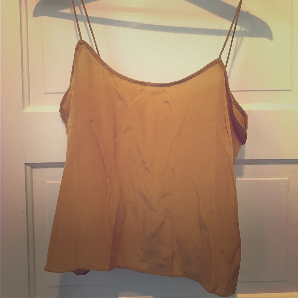 NWOT Paper Crown Silk Cropped Tank