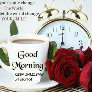 Meet your Posher, Dawn