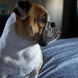 Meet your Posher, Jamie