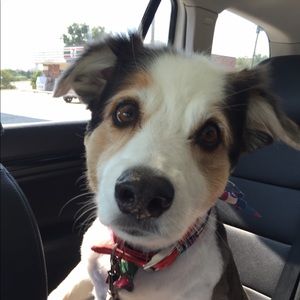 Meet your Posher, John