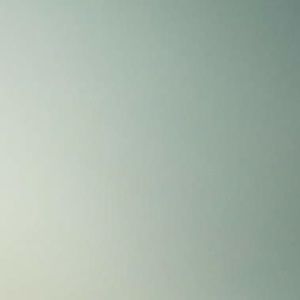 Meet your Posher, Faith