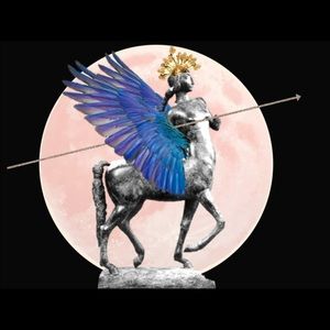 Meet your Posher, Brandi