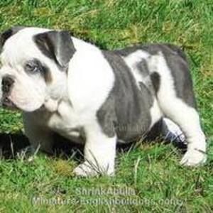 Meet your Posher, Joaquin