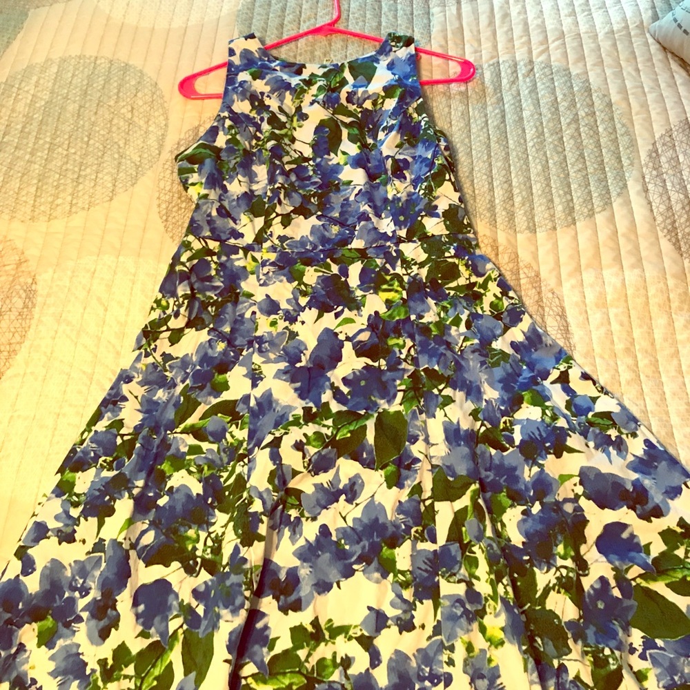 Blue Floral Milly Dress Size 10