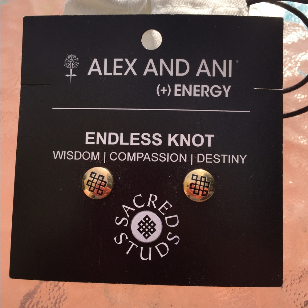 Alex and Ani Endless Knot Earrings