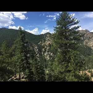 Meet your Posher, Shannon