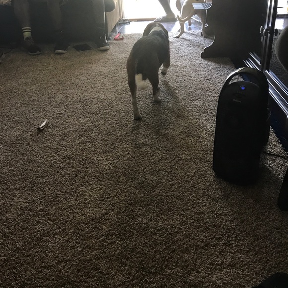 Meet your Posher, James - Picture 1 of 1