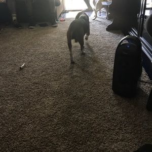 Meet your Posher, James