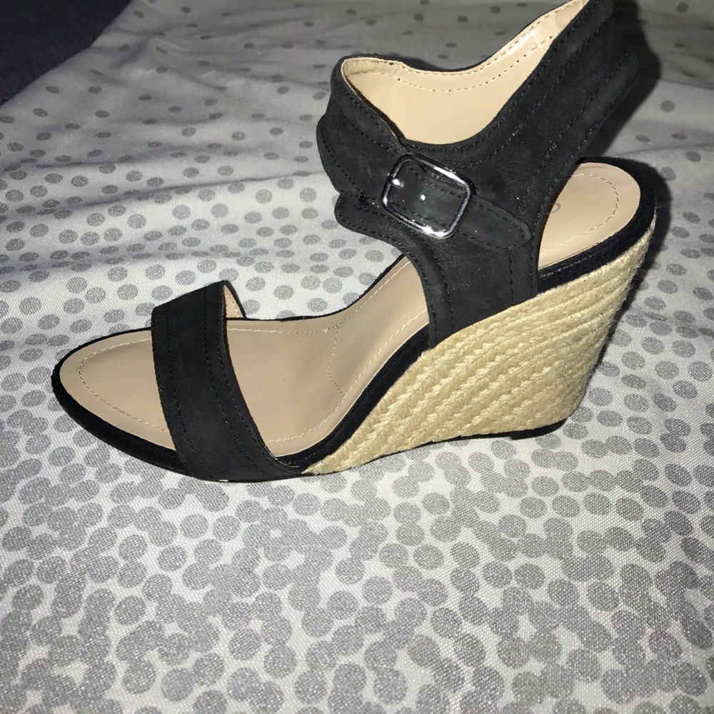 Charles David Wedges