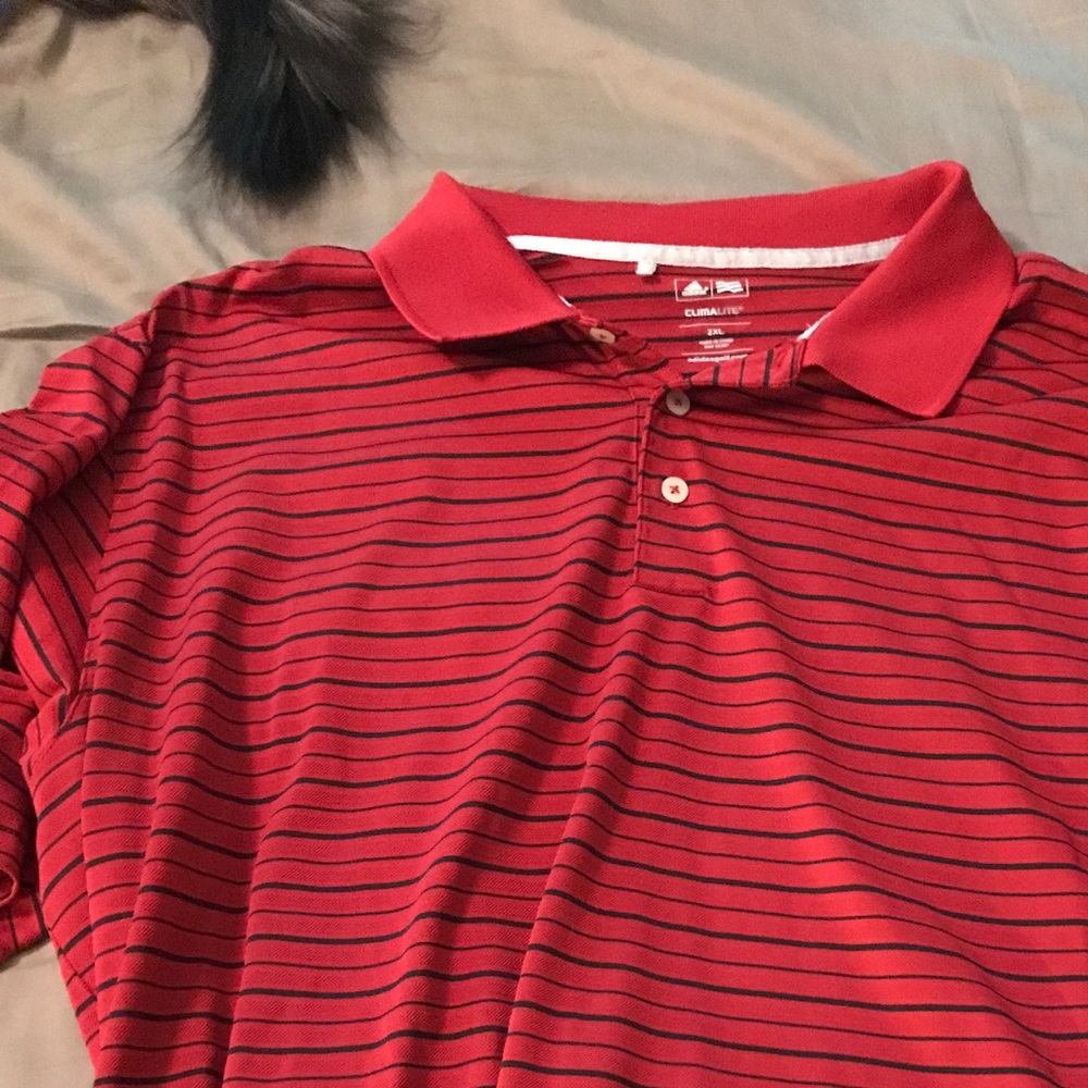 Golf Polo