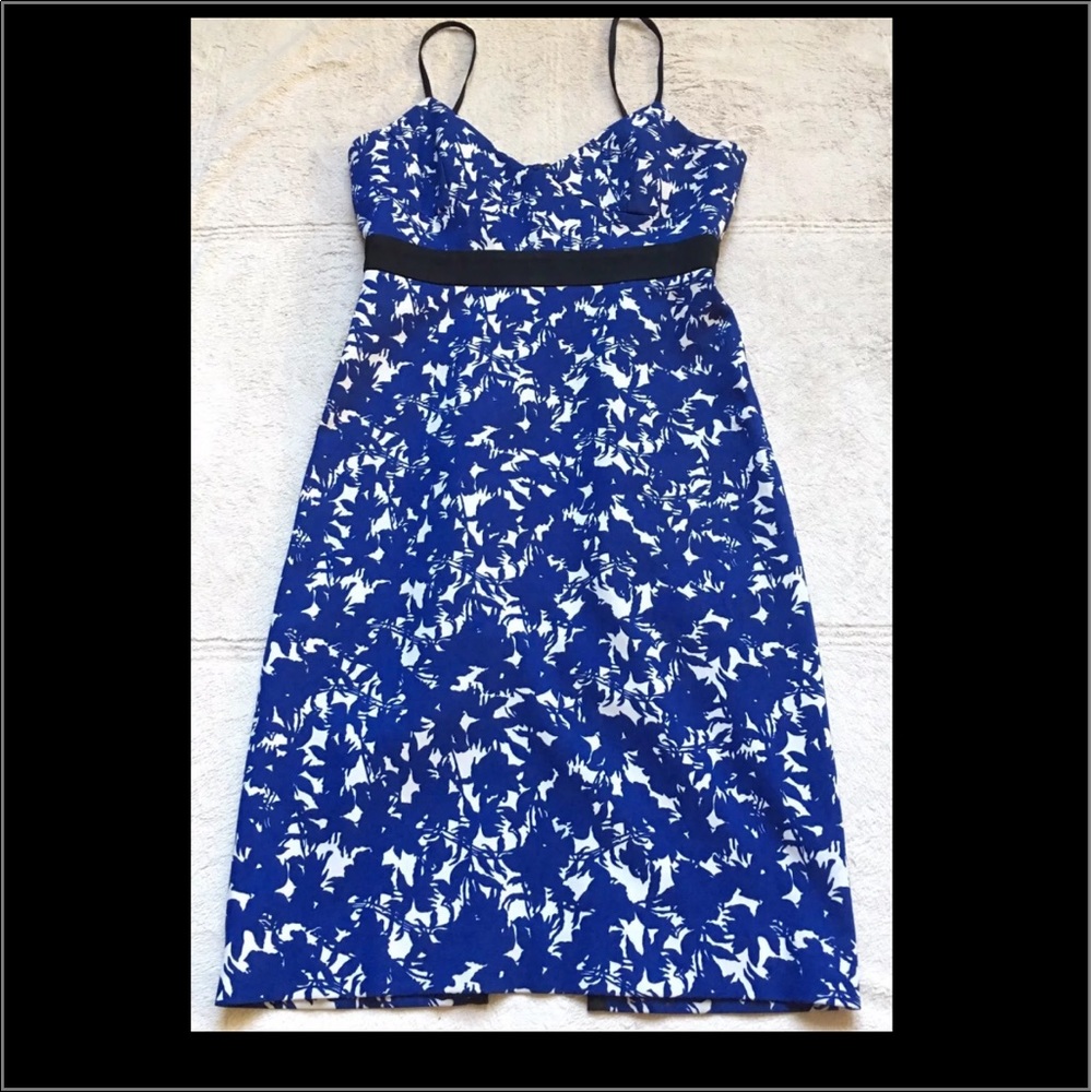 Scanlan Theodore Dress, Size 8, Blue White & Black, Knee Length, Italian Fabric
