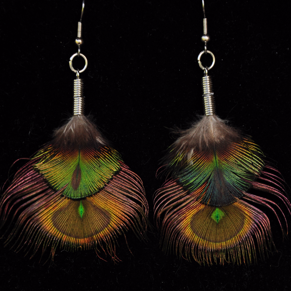 jewelry, earrings, peacock feathers, feathers