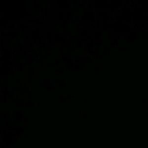 Meet your Posher, Gisel