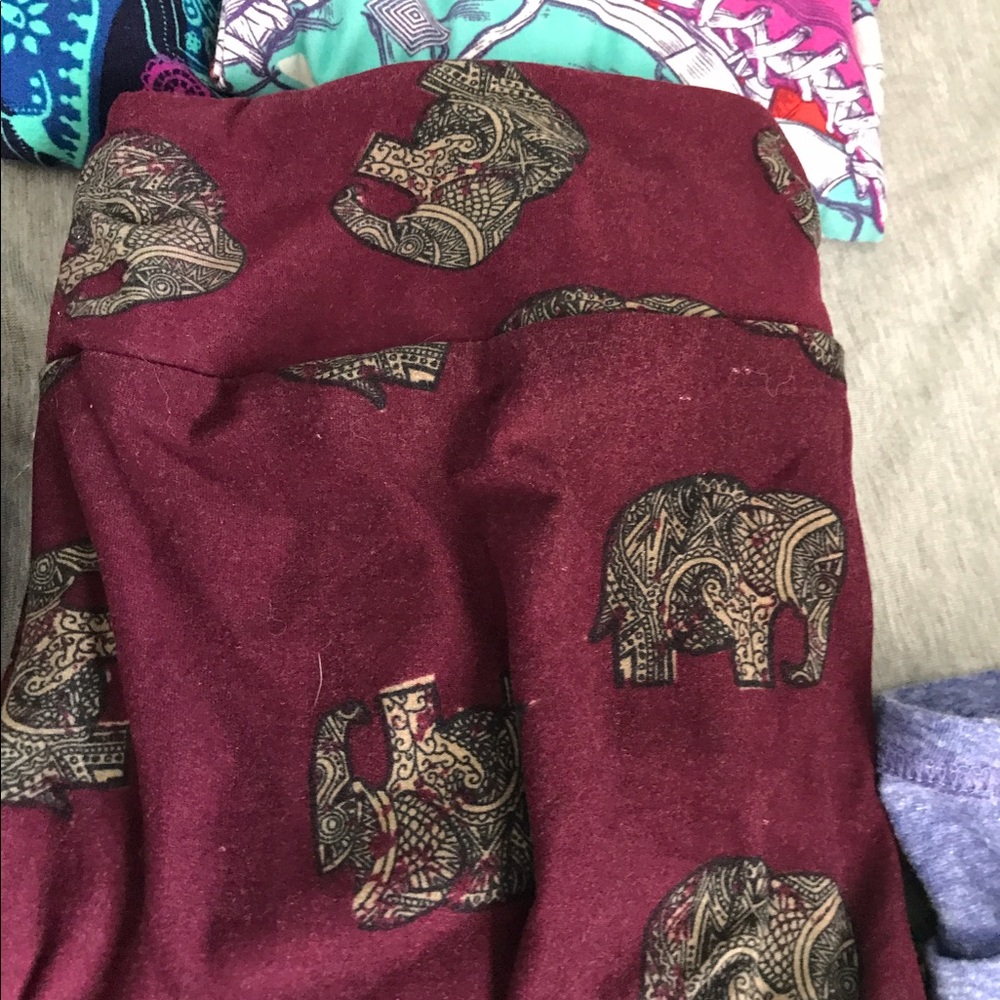 Lularoe leggings elephants