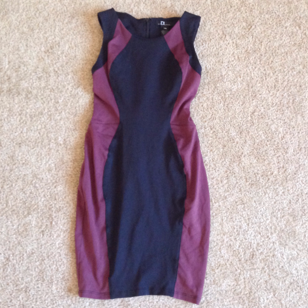 David Lerner Colorlock Dress