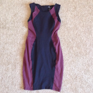 David Lerner Colorlock Dress