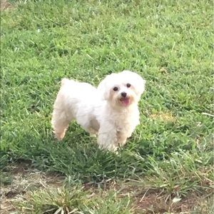 Meet your Posher, Nancy