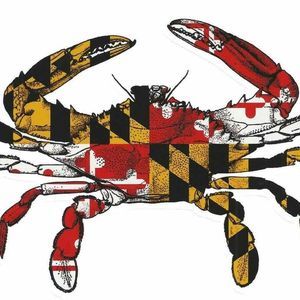 Meet your Posher, Sonia