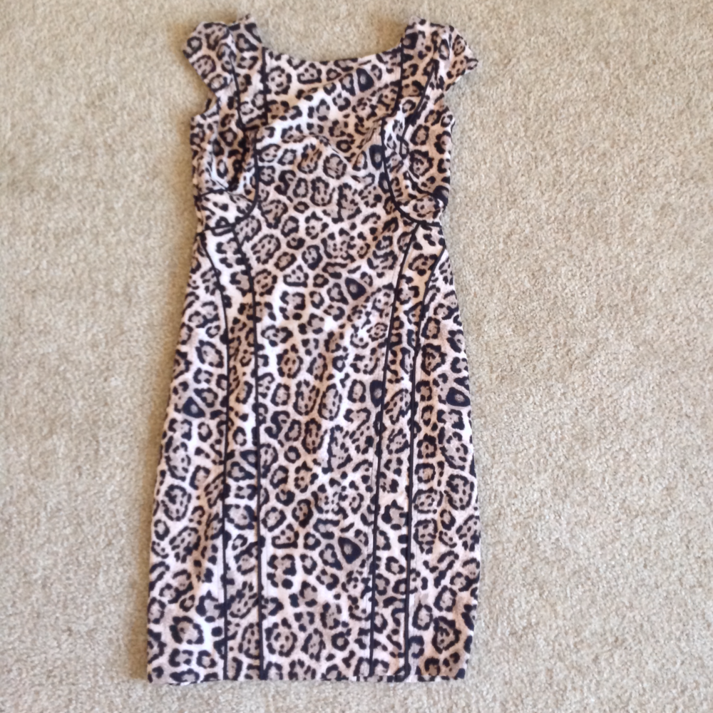 Victoria's Secret Leopard Dress