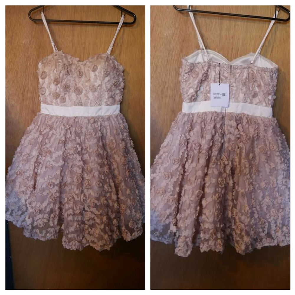 Rose Tulle Dress - Picture 2 of 5