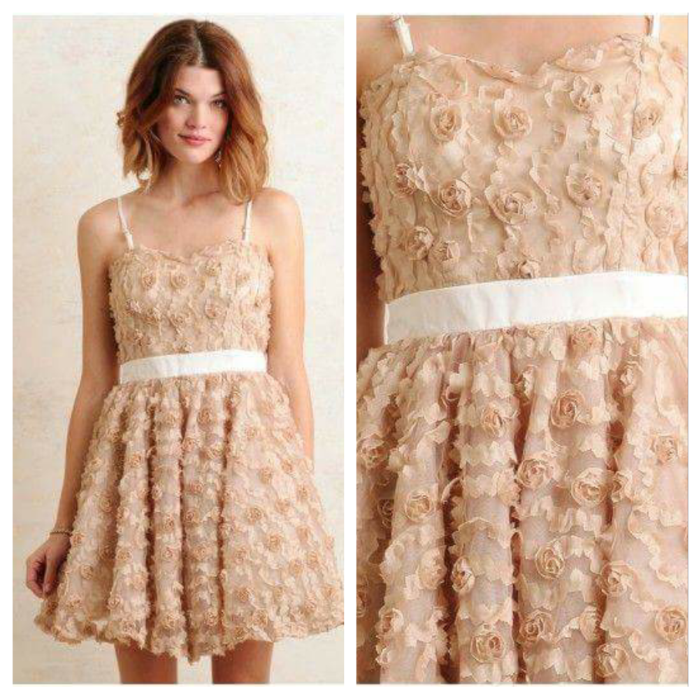 Rose Tulle Dress