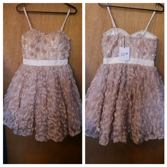 Rose Tulle Dress - Picture 2 of 5