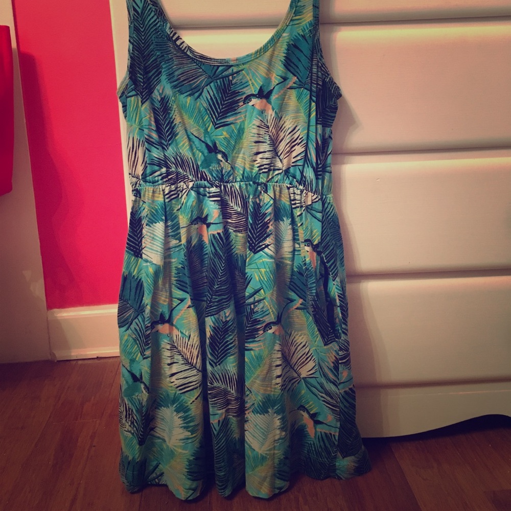 Humming bird dress