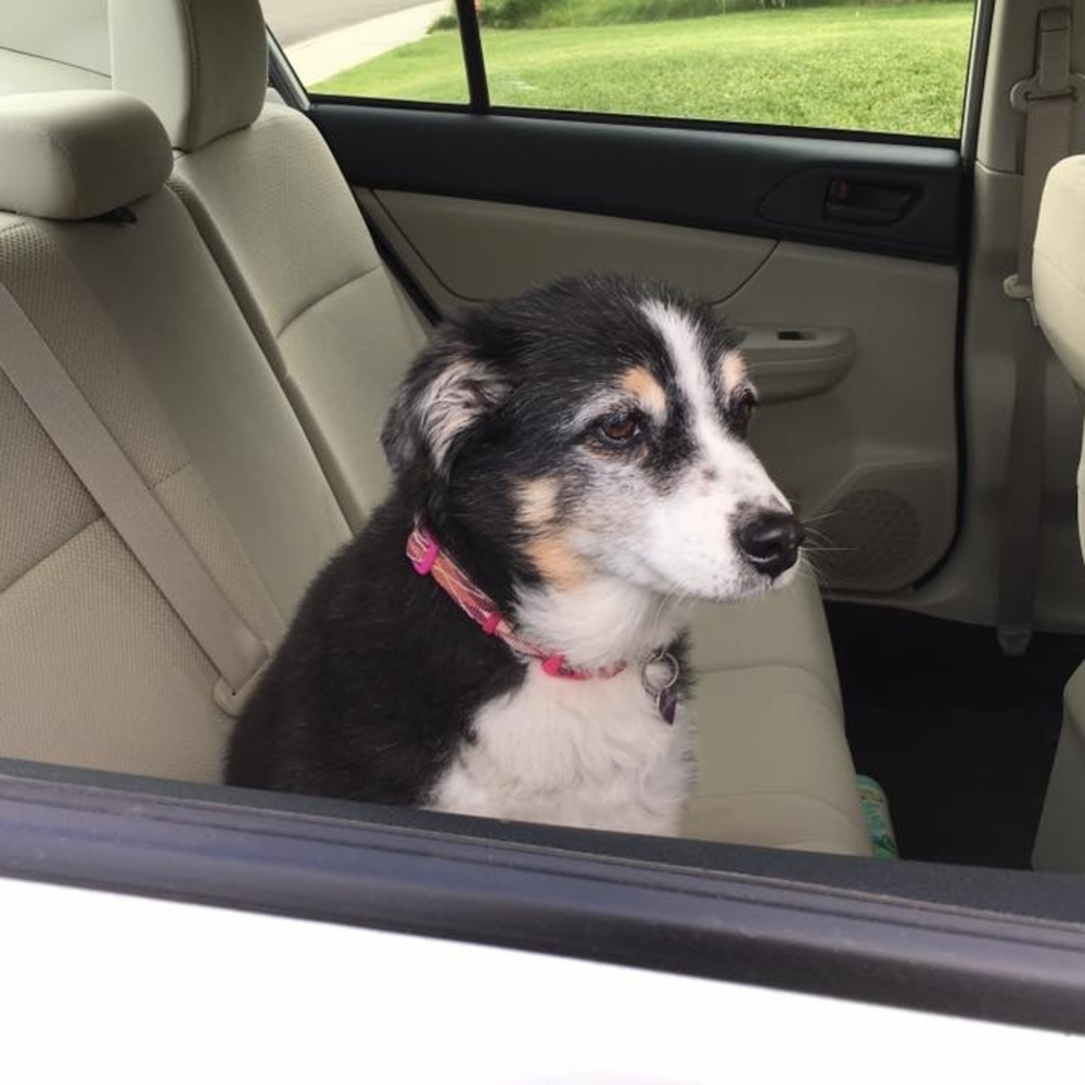 Meet your Posher, Randa