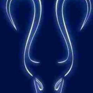 Meet your Posher, Solo