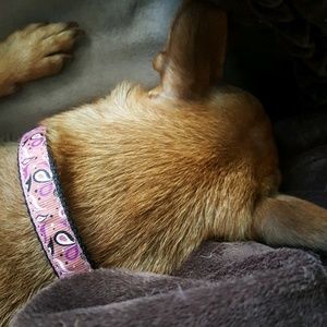 Meet your Posher, Ivette