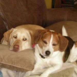 Meet your Posher, Maria