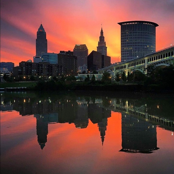 Meet your Posher, Joey - Picture 1 of 1