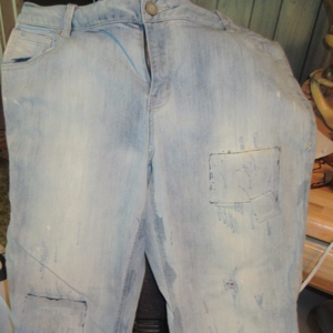 Lane Bryant Distressed Faded Crops