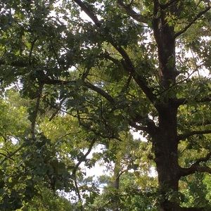 Meet your Posher, Lola