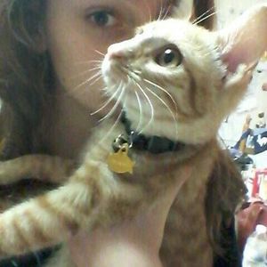 Meet your Posher, Rose