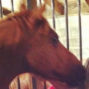 Meet your Posher, Judy