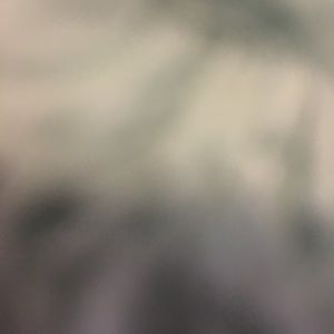 Meet your Posher, Brooklyn