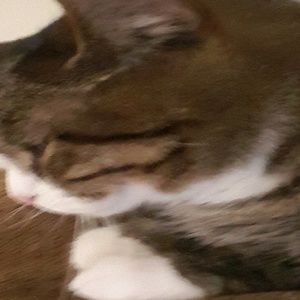 Meet your Posher, Nancy