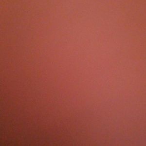 Meet your Posher, Nicholas