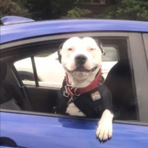 Meet your Posher, Maria