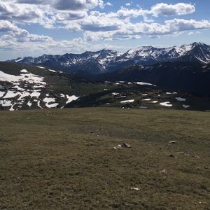 Meet your Posher, Maggie