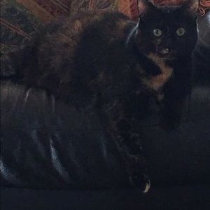 Meet your Posher, Karen