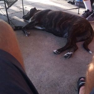 Meet your Posher, Kaleb