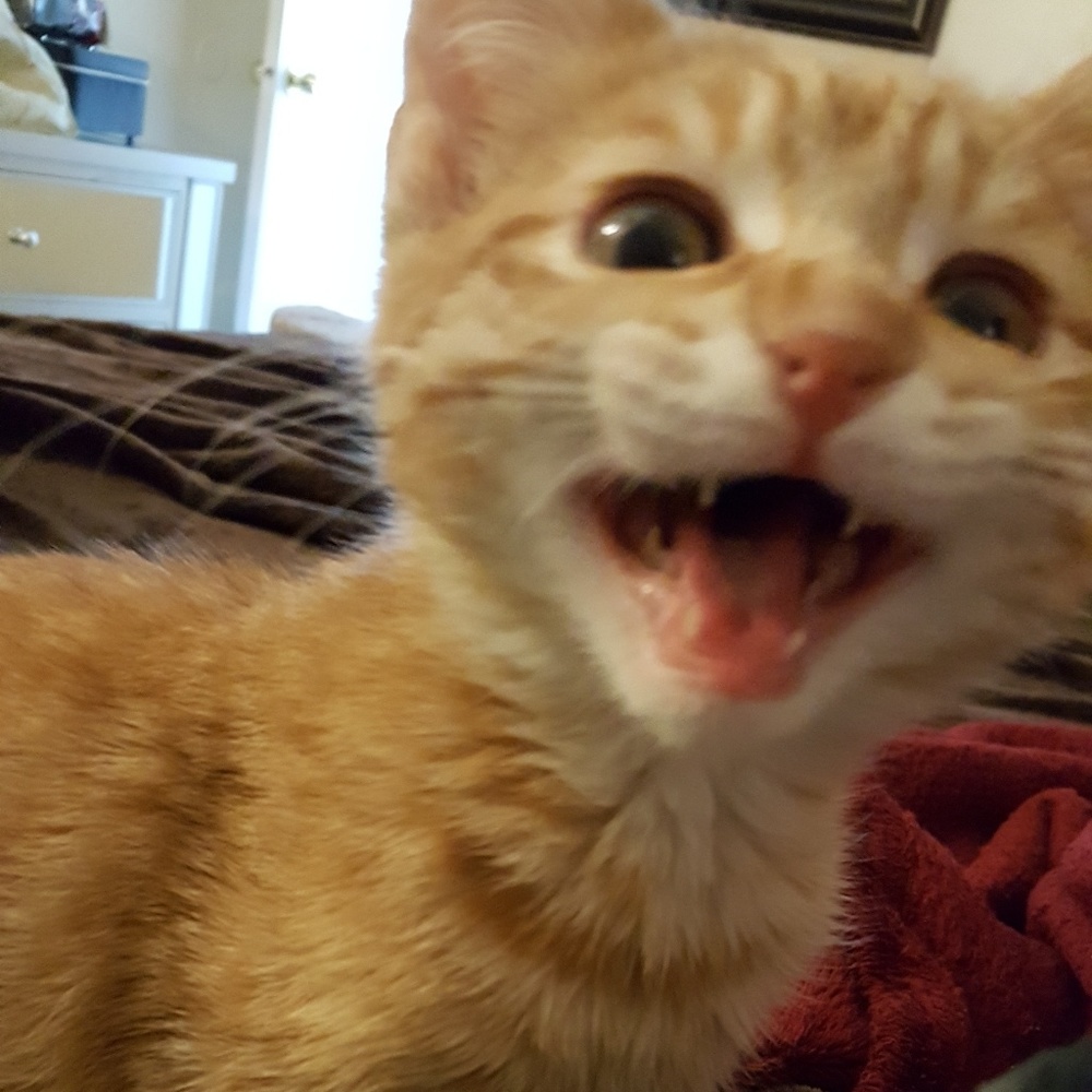 Cass Says "Welcome!!"