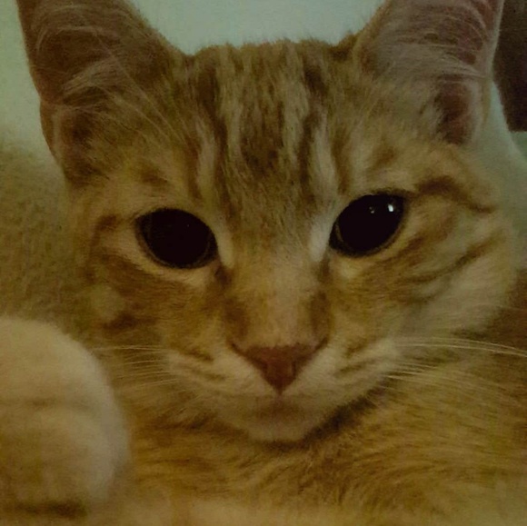 Cass Says "Welcome!!" - Picture 4 of 5