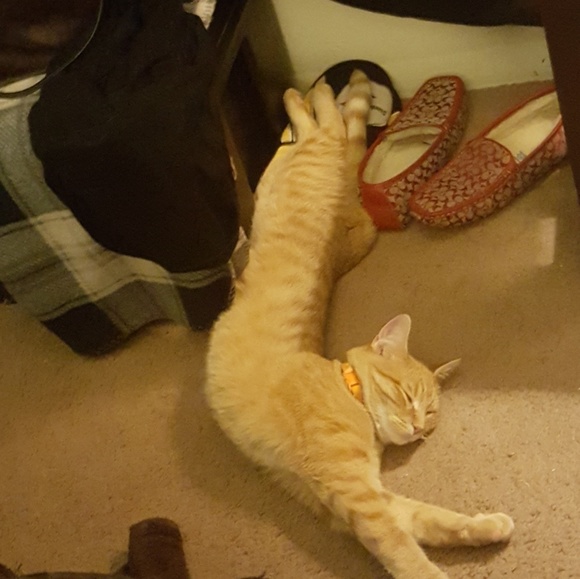 Cass Says "Welcome!!" - Picture 3 of 5