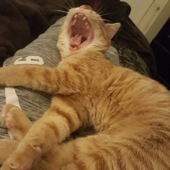 Cass Says "Welcome!!" - Picture 2 of 5